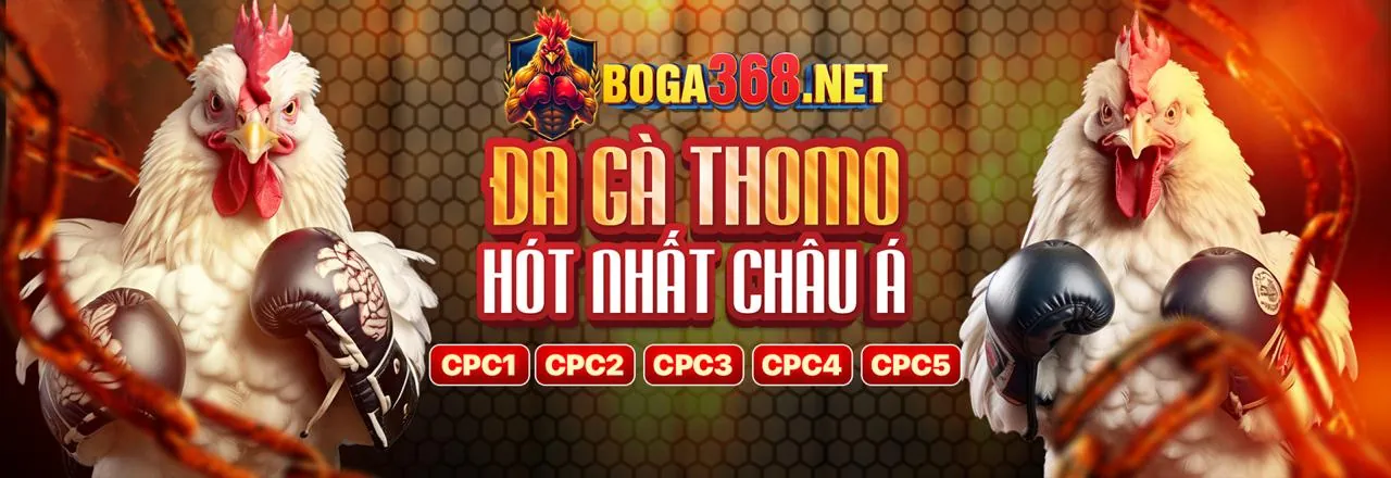 Tải ứng dụng f1686 website chính thức trên điện thoại di động